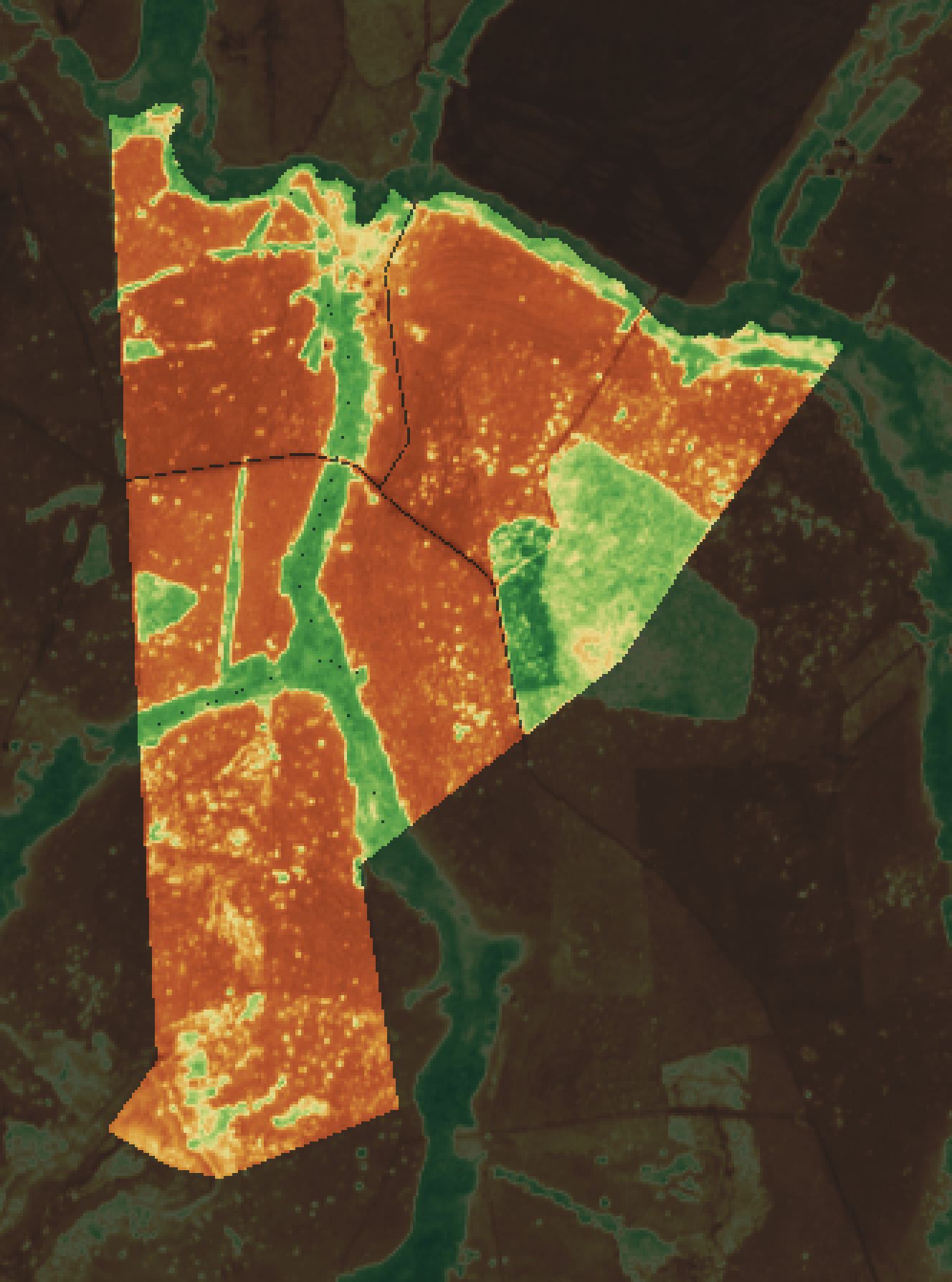 NDVI da fazenda parceira em setembro de 2025.