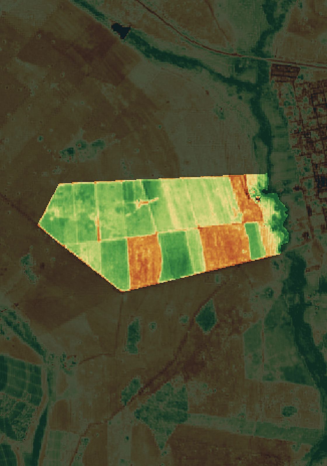 Mapa NDRE da fazenda parceira em São Francisco de Sales (MG).