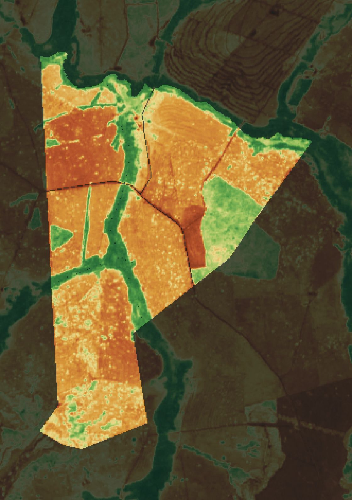 Mapa NDVI da fazenda parceira em Prata (MG).