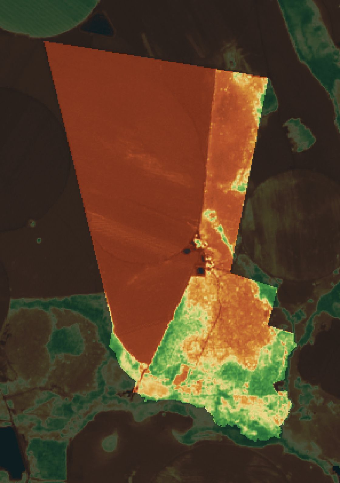 Mapa NDVI da fazenda parceira em Unaí (MG).