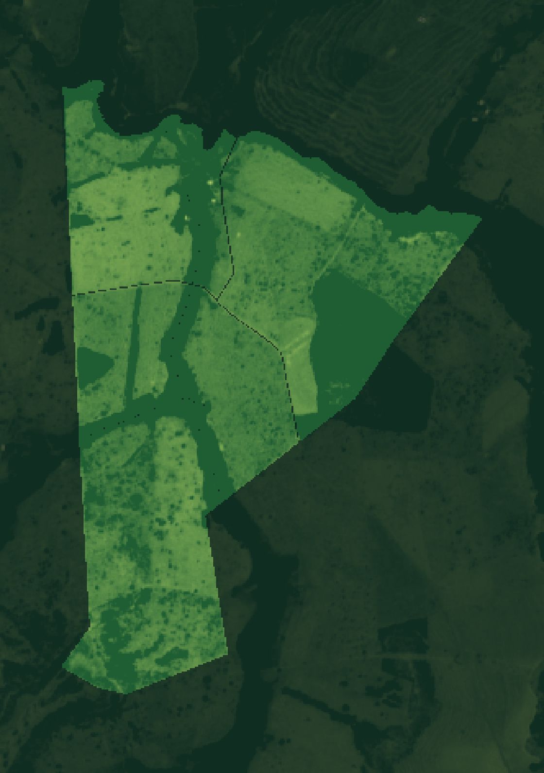 Mapa NDWI da fazenda parceira em Prata (MG).