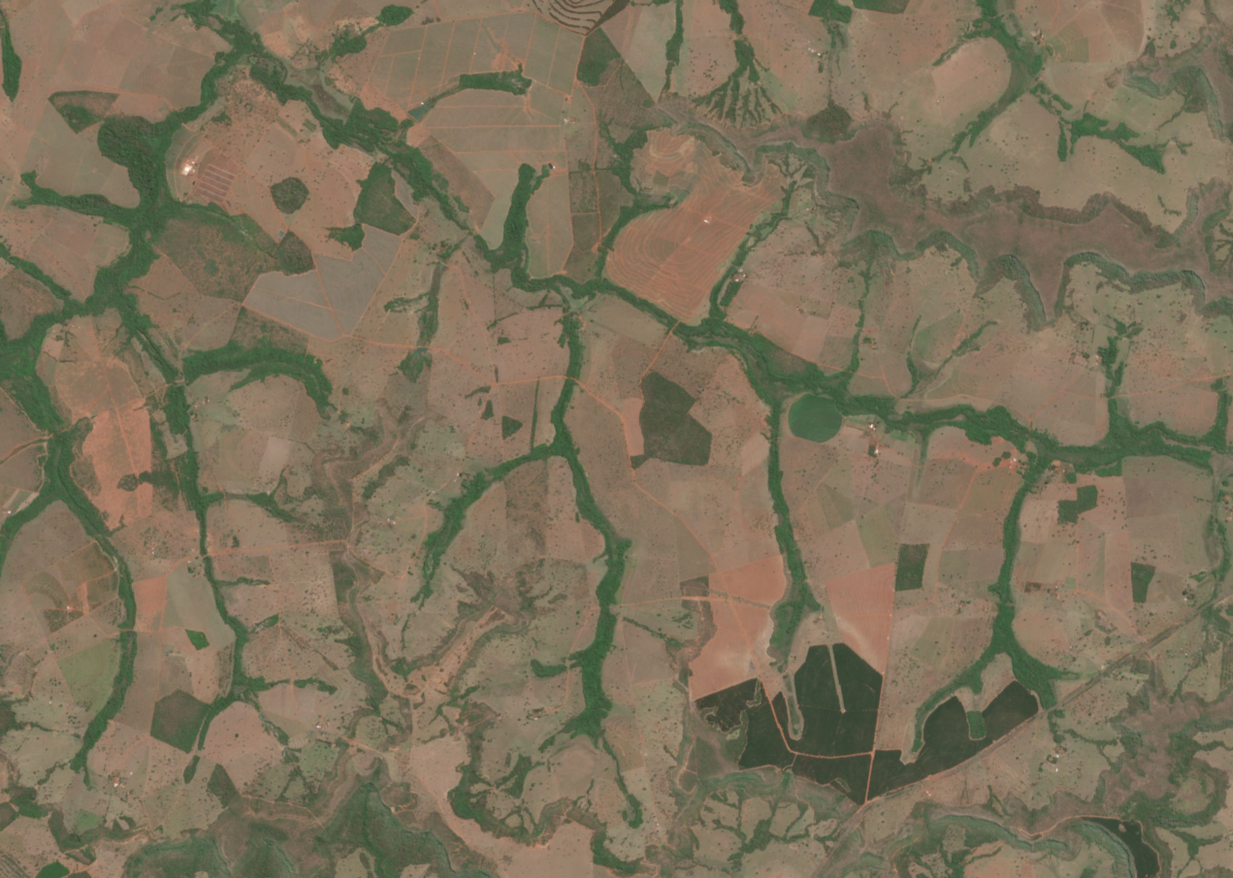 Imagem de satélite em cor natural da região de Prata, MG, com uma fazenda parceira contornada no centro.